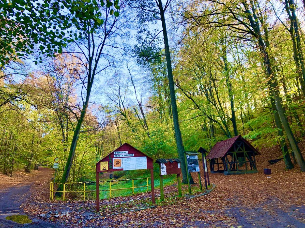 Las Slupski Premium Business Apartament Nr 7 Wifi Netflix Smart Tv50 Two Bedrooms Two Extra Large Double Beds Up To 6 People Full Pleasure Quality Stay (Adults Only) Exterior foto